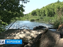 Бетонные баррикады на реке в Воронежской области так и не убрали