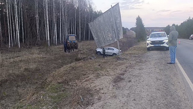 Женщина и ребенок пострадали в ДТП в Нижегородской области
