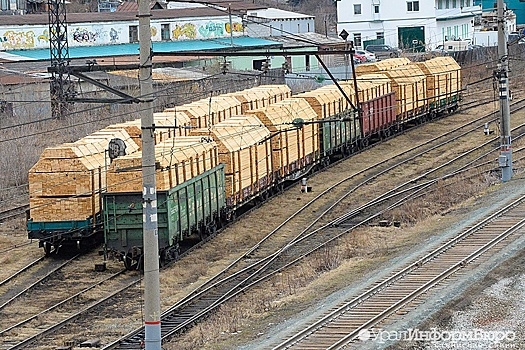 Российское производство фанеры может остановиться из-за нехватки смолы