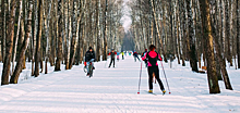 В пяти красногорских парках этой зимой можно будет покататься на лыжах