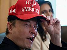 Шансы партии Маска на успех оценили