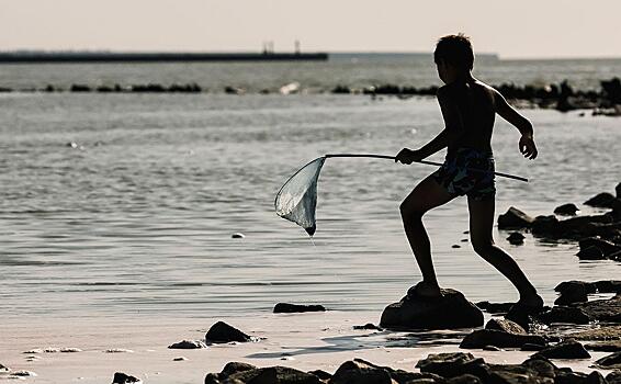 В Минпросвещения поставили точку в спорах о сокращении летних каникул