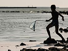 В Минпросвещения поставили точку в спорах о сокращении летних каникул