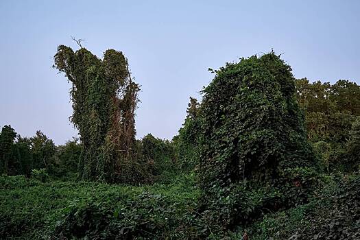 Фотовыставка о Самурском нацпарке пройдет в Дербенте