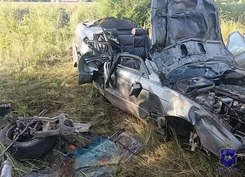 В Самарской области на трассе в ДТП погибли 2 пассажира BMW