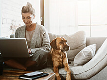 Минтруд перечислил регионы – лидеры по удаленке