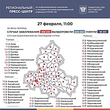 Новые случаи заражения ковидом: впереди Ростов, за ним идут Таганрог и Волгодонск
