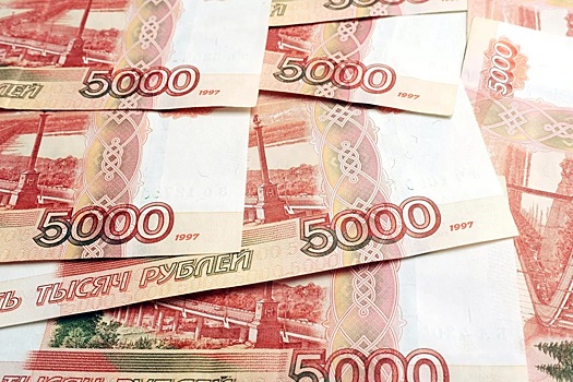 Эксперт предложил увеличить выплаты за второго и третьего ребенка в модели маткапитала