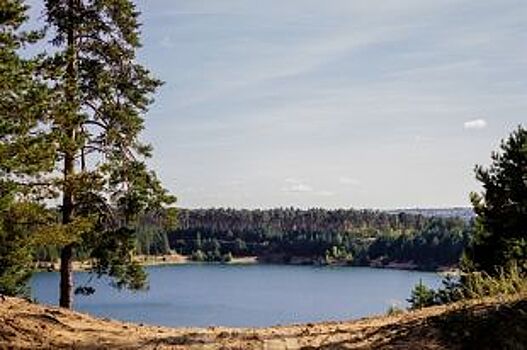В Акбулакском районе «ГАЗель» и «Ока» раздавили спящего рыбака