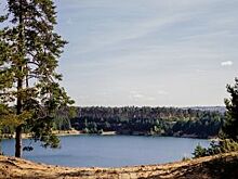 В Акбулакском районе «ГАЗель» и «Ока» раздавили спящего рыбака