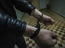 Почти 20 кустов конопли и около 400 г марихуаны изъяли из дома приезжего в Подмосковье