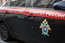 В Тверской области возбудили дело по факту убийства ребёнка ножницами