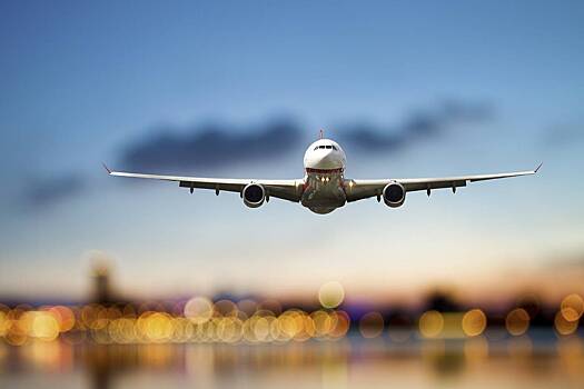 Стали известны подробности о прилетевшем без памяти в США россиянине