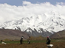 Россиянам предложили «Талиб-туры» за ₽350 тысяч