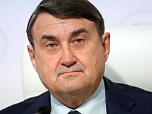 Левитин: Современный Госсовет сильно отличается от своих предшественников