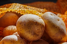 Ученые назвали главную опасность картофеля для гипертоников