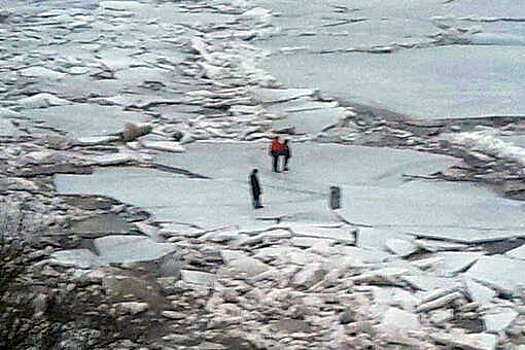 В Новгородской области трое детей и собака оказались на льдине