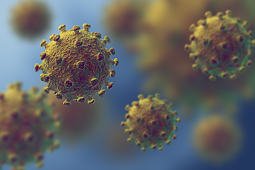 Ученые назвали слабые места коронавируса