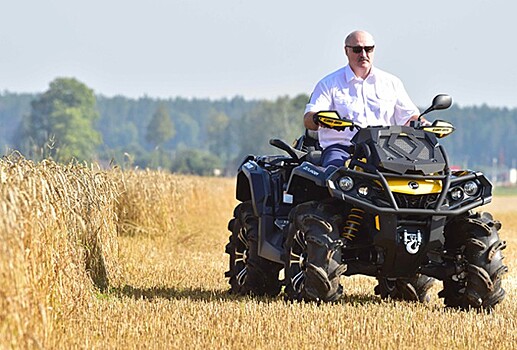 Лукашенко на пшеничном поле стал героем мемов