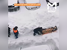 В Петропавловске-Камчатском снег вынудил скорые везти пациентов на санях