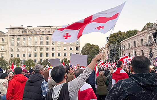 Беспорядки в Тбилиси назвали попыткой госпереворота