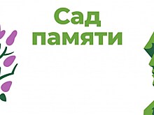 Когда начнут сажать "Сад памяти"