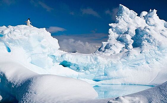 Ученые призвали не переоценивать экологическое благополучие Антарктики