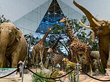 Столичные учащиеся снова могут бесплатно посетить выставочные центры в рамках проекта «Музеи - детям»