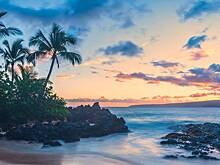 Пропавший ученый Бухарицин рассказал, как выжил на необитаемом острове