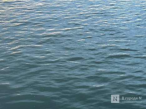 Искали неделю: тела двух мужчин выловили из рек в Нижегородской области