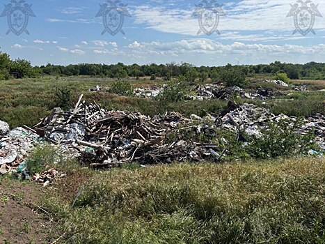 Бывшего начальника УЖКХ Батайска задержали за незаконное размещение свалки