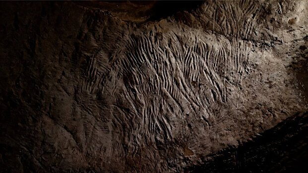 Руки предков: в Австралии нашли древние следы пальцев на стенах пещеры