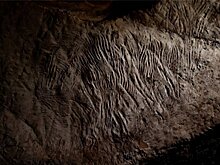 Руки предков: в Австралии нашли древние следы пальцев на стенах пещеры