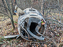 В Госдуме отреагировали на атаку Воронежа ракетами ATACMS: «Ответ должен быть дан»