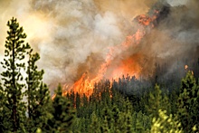 В Канаде выгорели 14,9 млн га территории в самом страшном сезоне лесных пожаров