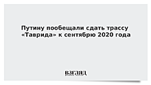 Путину пообещали сдать «Тавриду» через год