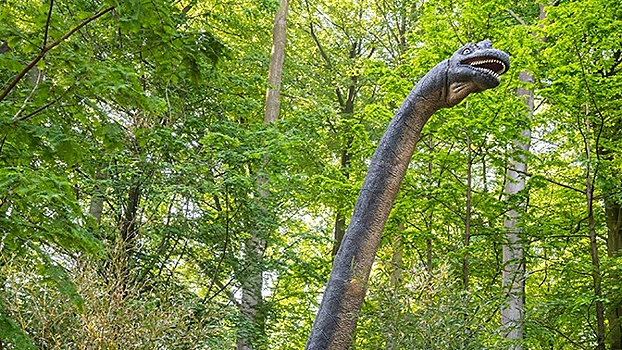 Найдены следы динозавров возрастом 100 млн лет