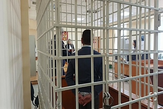 На Камчатке суд отправил педофила за решетку на 16 лет