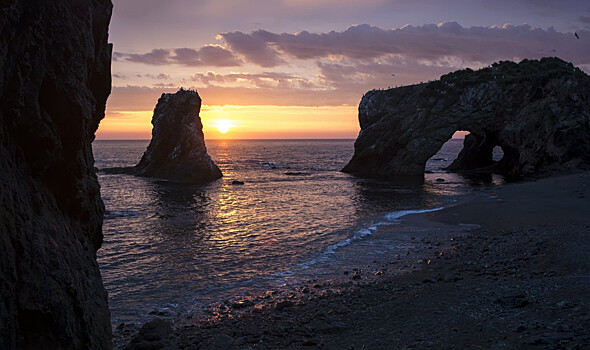 Японцы возвращаются: расшатать «Сахалин-2» санкциями не вышло
