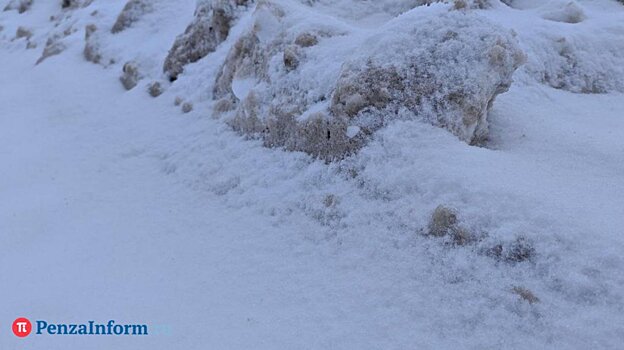 Иначе задохнется: назван объем снежной свалки в Пензе