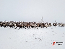 Почему саамы боялись Деда Мороза, но не испугались Ивана Грозного