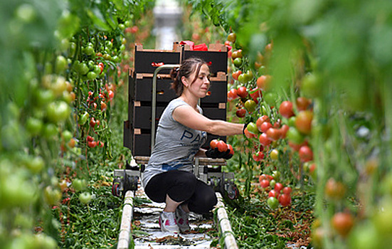 Санкции и спрос на экопродукты будут способствовать развитию биотехнологий в АПК