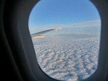 Авиакомпании подготовят заявки на новогодние чартеры до 15 декабря