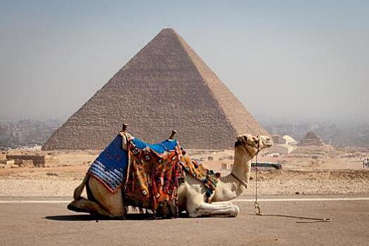 Французы стали чаще ездить в Египет