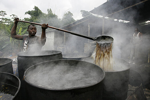 Импорт пальмового масла в Россию снова вырос