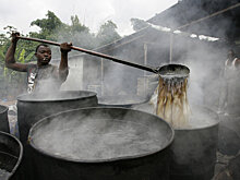 Импорт пальмового масла в Россию снова вырос