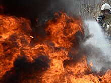 В России продолжают тушить леса