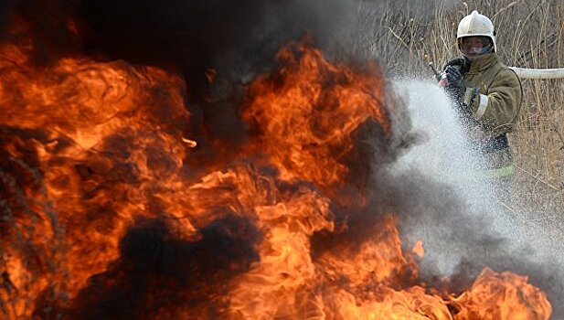 Более 40 лесных пожаров действуют в Приморье