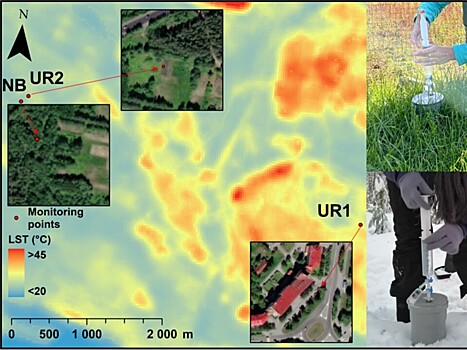 Почвенные микроорганизмы в арктических городах дышат активнее загородных