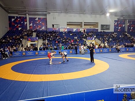 Оренбург принимает Фестиваль спортивной борьбы